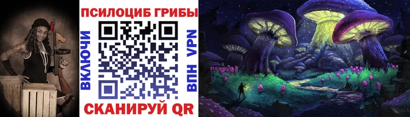 дарнет шоп  Бузулук  Галлюциногенные грибы MAGIC MUSHROOMS 