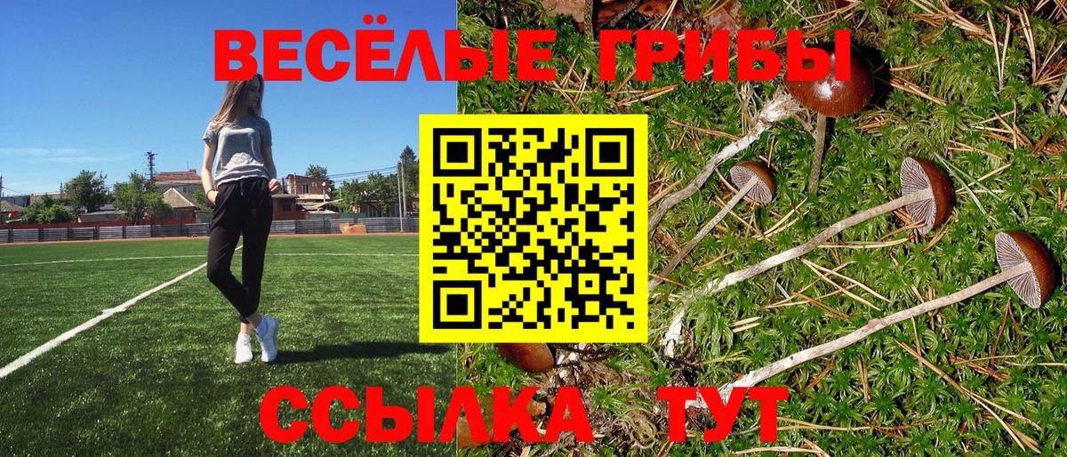 Псилоцибиновые грибы мицелий Бузулук