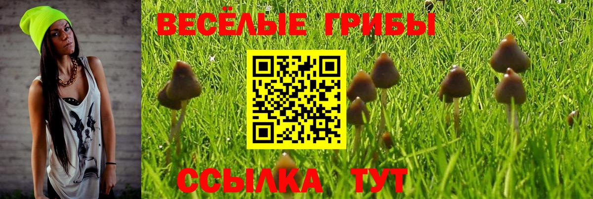 где купить наркоту  Псилоцибиновые грибы Psilocybe  Вход с VPN  Бузулук 