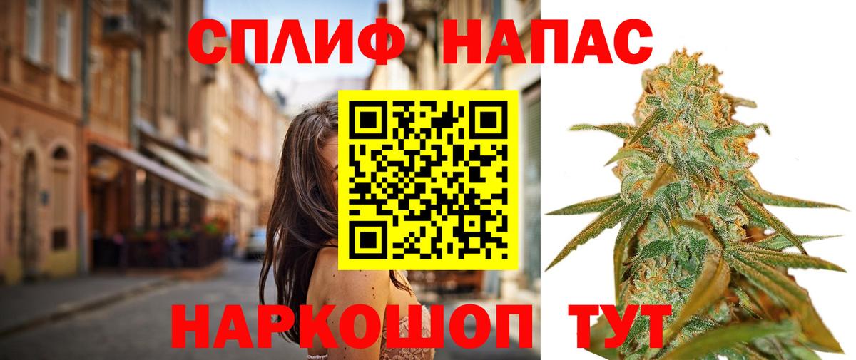 Каннабис индика Бузулук